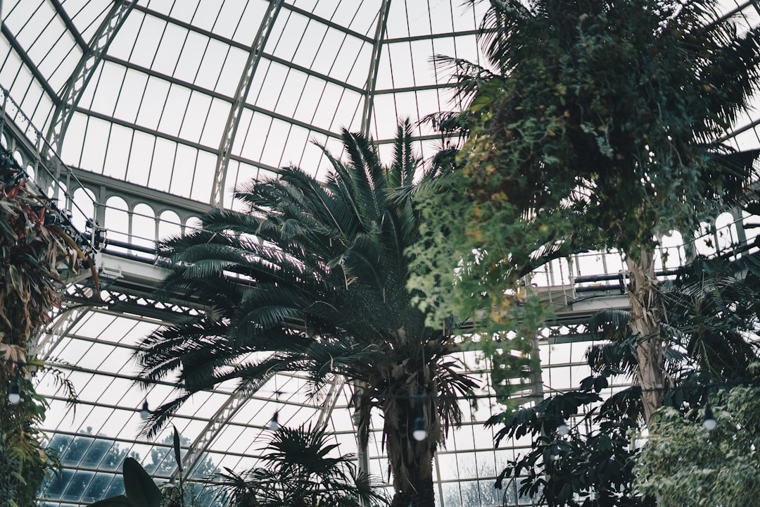 Photo Indoor greenhouse