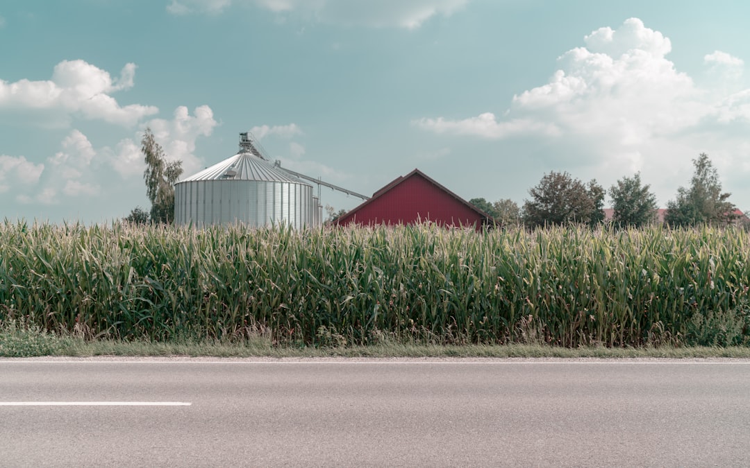 Photo Vertical farm