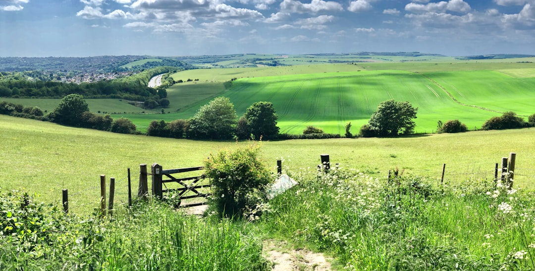 Photo Rural landscape