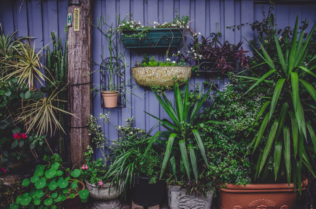 Photo Vertical gardening